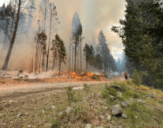 https://www.squamishreporter.com/wp-content/uploads/2023/07/wildland-firefighter-540x425.png