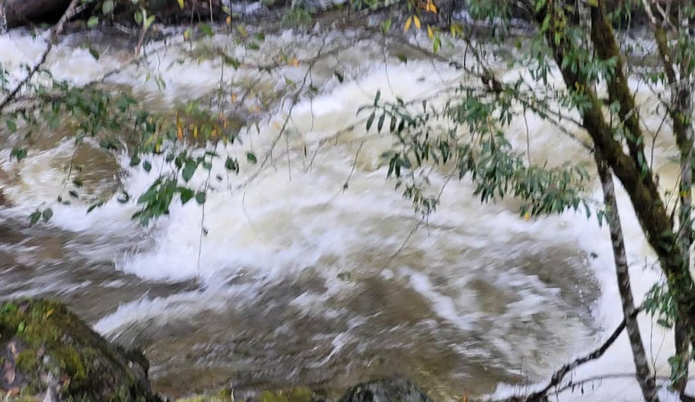 https://www.squamishreporter.com/wp-content/uploads/2023/10/Stawamus-River-in-Squamish.jpg