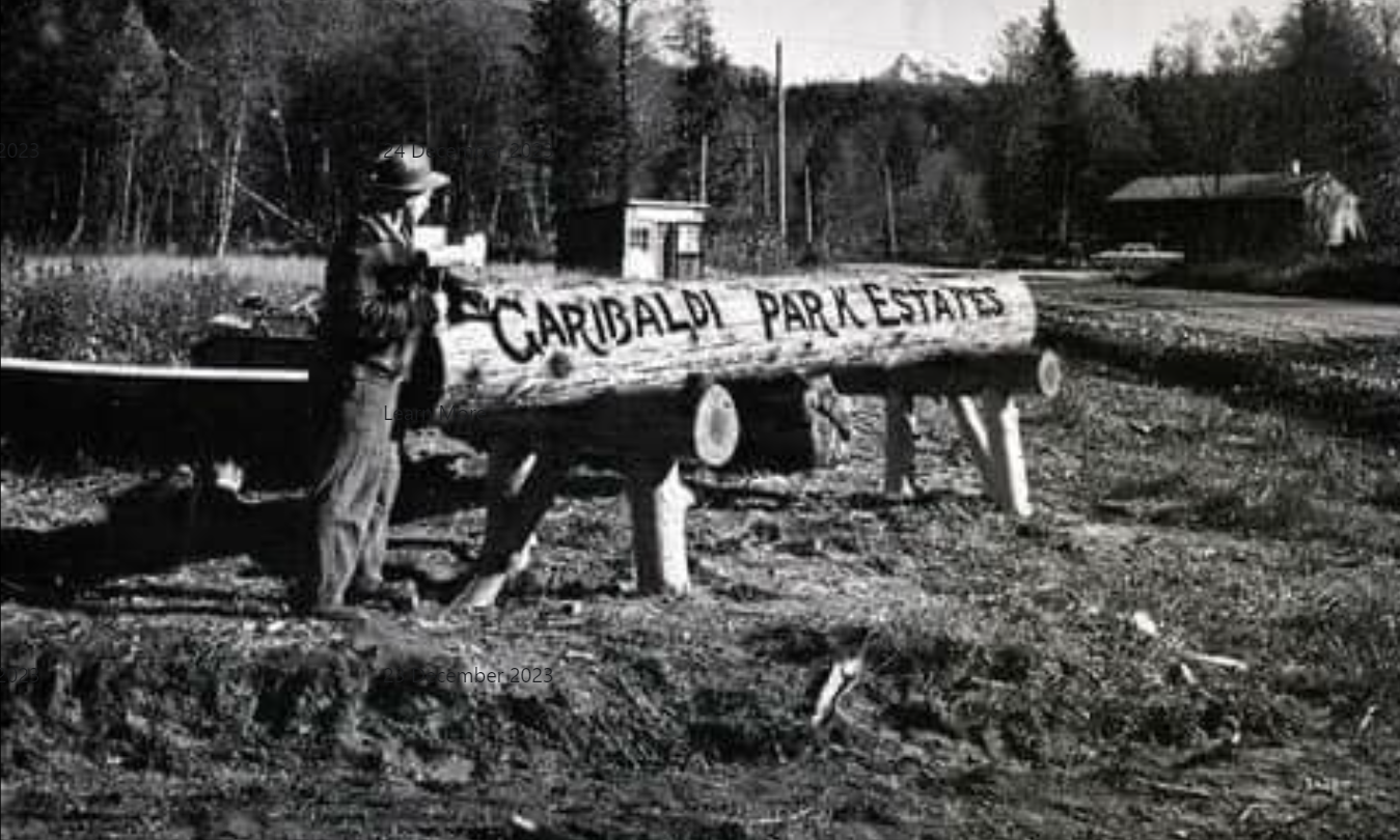 https://www.squamishreporter.com/wp-content/uploads/2024/01/garibaldi-estates.png