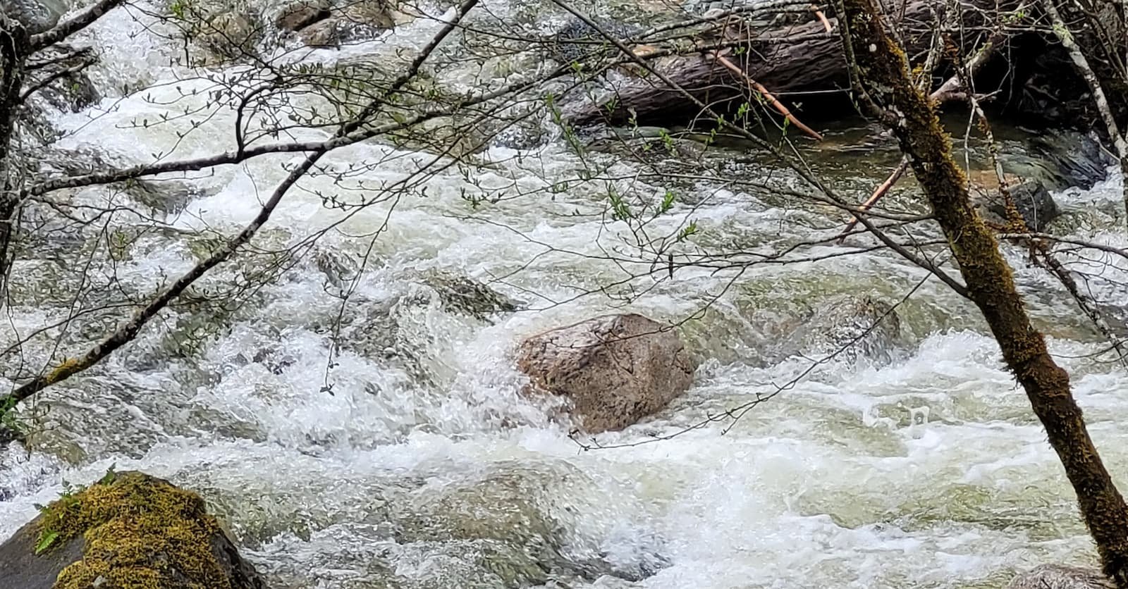 https://www.squamishreporter.com/wp-content/uploads/2024/01/raging-river-in-south-coast.jpg