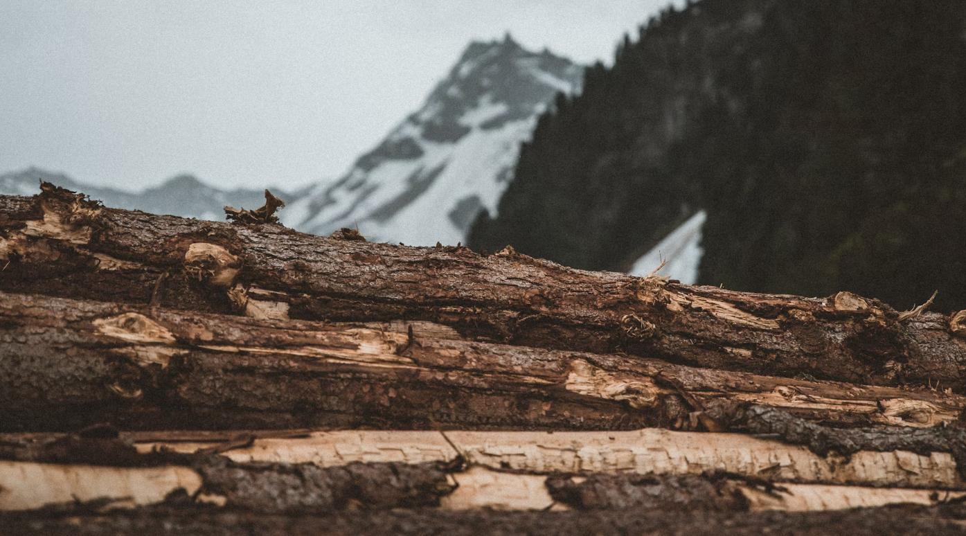 https://www.squamishreporter.com/wp-content/uploads/2024/02/logging-truck-traffic.png