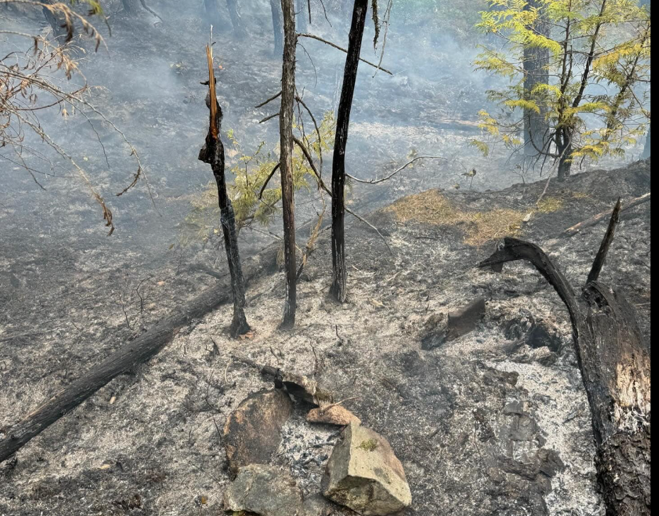 https://www.squamishreporter.com/wp-content/uploads/2024/06/wildland-fires.png