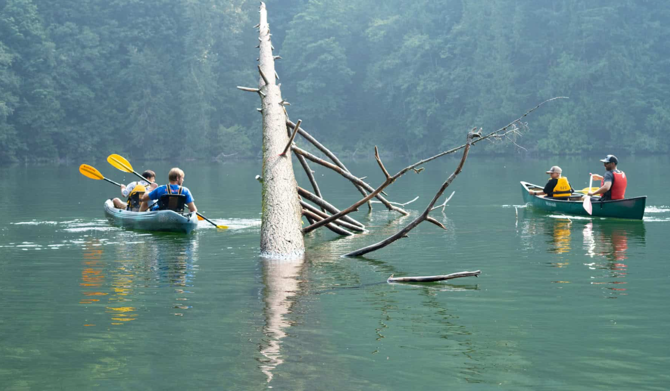 https://www.squamishreporter.com/wp-content/uploads/2024/07/summer-try-it.png