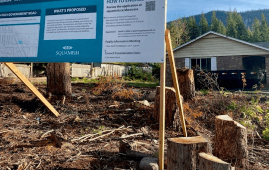 https://www.squamishreporter.com/wp-content/uploads/2024/11/Brackendale-540x342.png