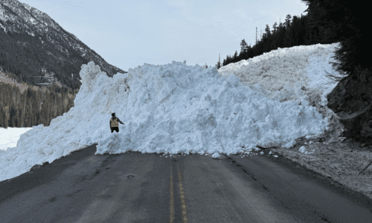 https://www.squamishreporter.com/wp-content/uploads/2025/03/Avalanche-540x324.png