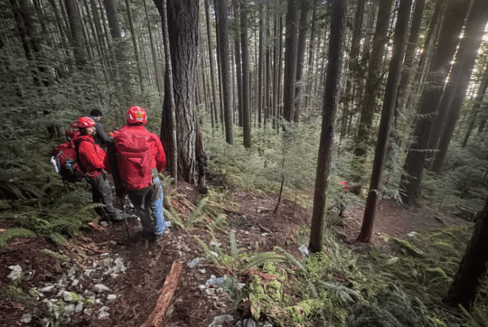 https://www.squamishreporter.com/wp-content/uploads/2025/04/SAR-rescue-540x362.png