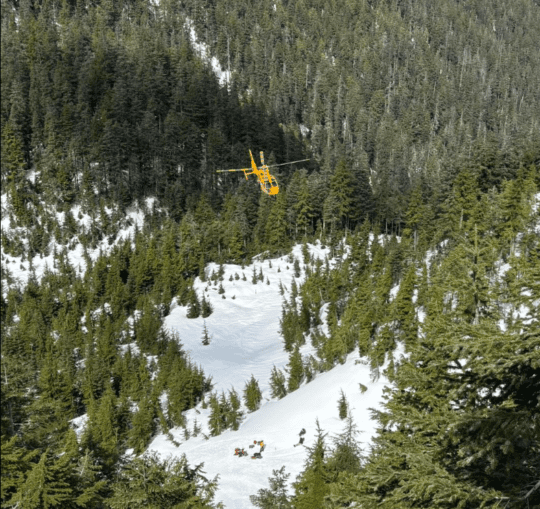 https://www.squamishreporter.com/wp-content/uploads/2025/05/teen-killed-540x509.png