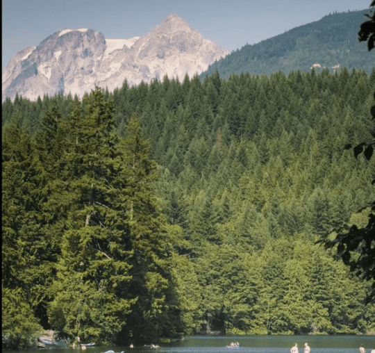 https://www.squamishreporter.com/wp-content/uploads/2025/06/Alice-Lake-540x508.png