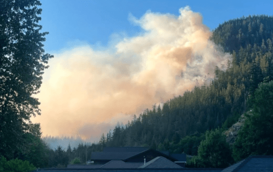 https://www.squamishreporter.com/wp-content/uploads/2025/06/Wildfire-in-Squamish-540x341.png
