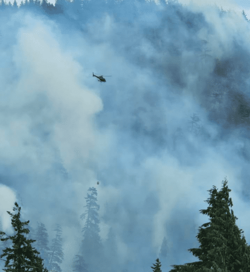 https://www.squamishreporter.com/wp-content/uploads/2025/06/photo-wildfire-496x540.png