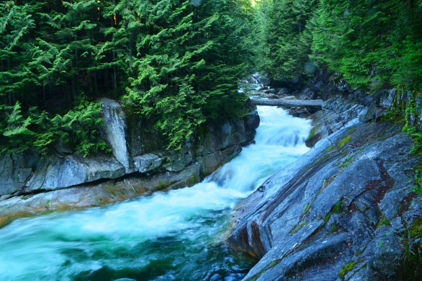 Gold creek flowing down the canyon through the forest in Golden Ears Park
