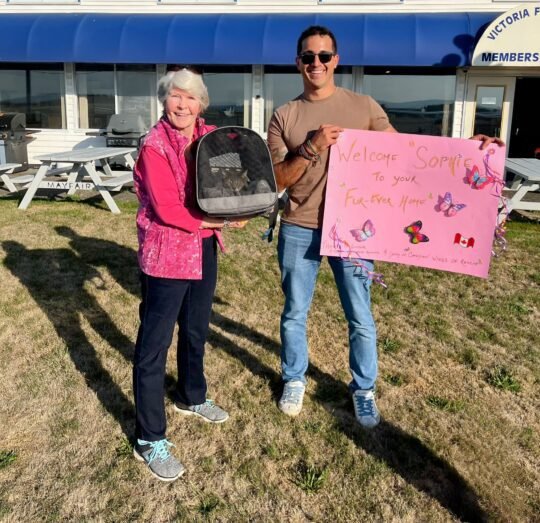 The organization relies on volunteer pilots to move rescued pets.