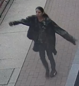 https://www.squamishreporter.com/wp-content/uploads/2025/10/seawall-stabbings.png