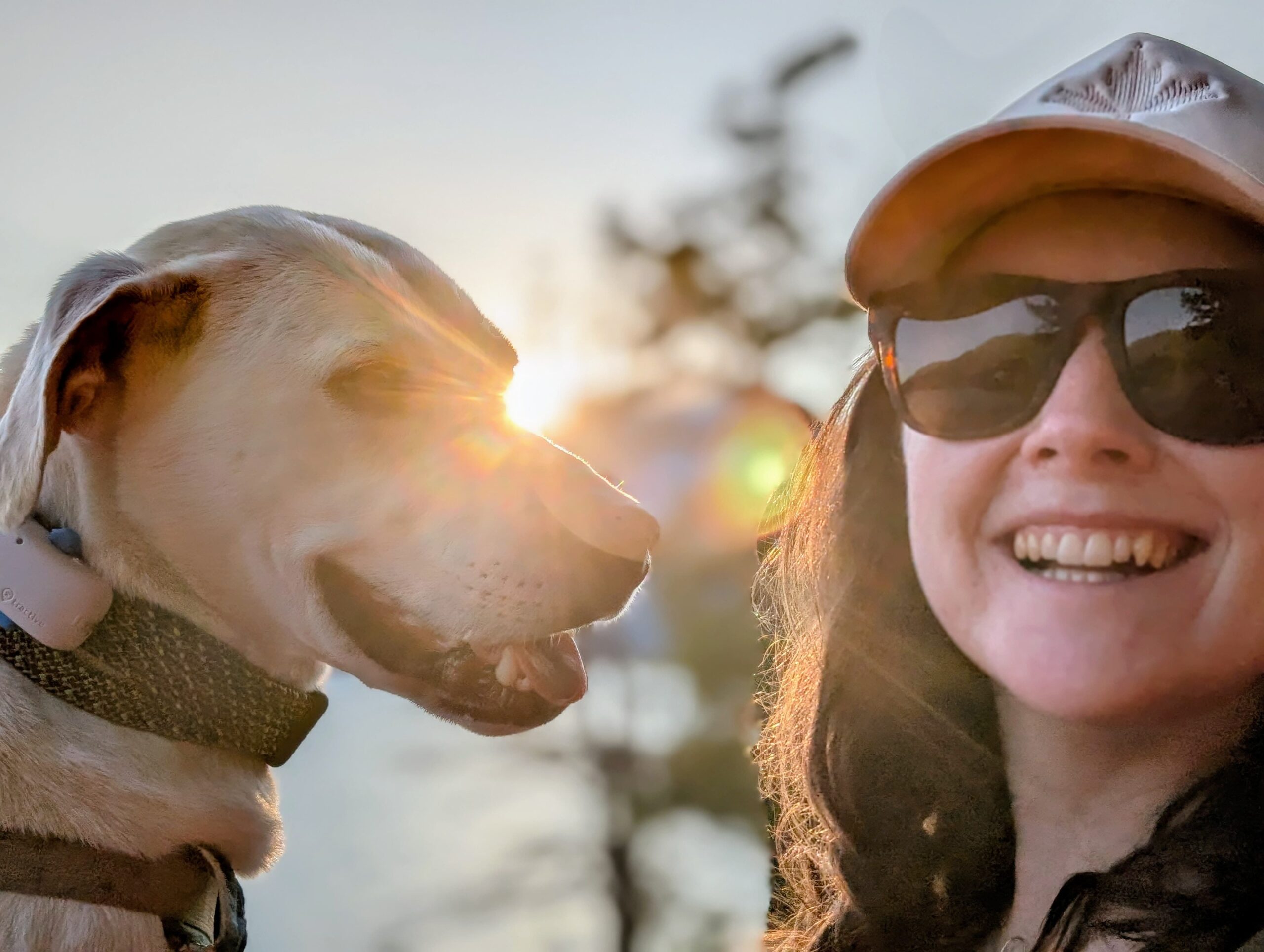 ElderDog Canada brings support for seniors and their pets to Squamish