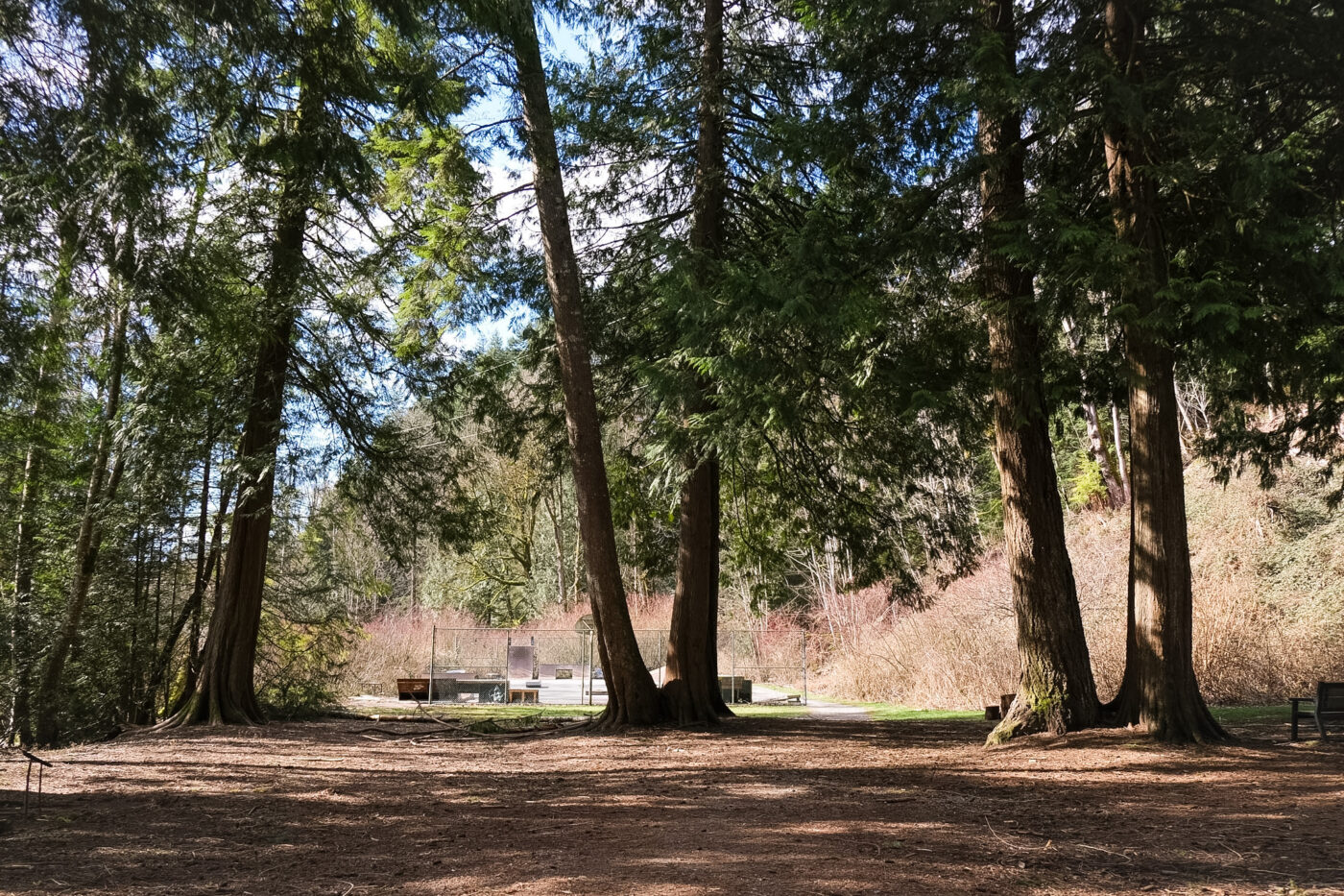 The Valleycliffe skatepark has grown steadily since Fowkes and friends first built it during COVID, and is now recognized by the District of Squamish.