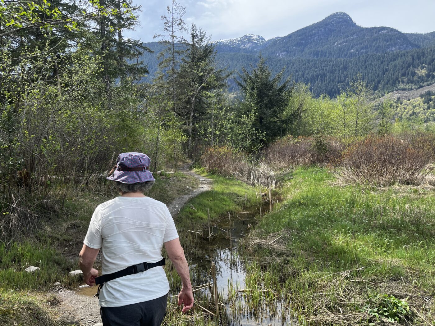 Judith Holm, a prior board member of Nature Squamish and leader of the Biodiversity Squamish project walks through the Squamish Estuary. Photo: Owen Spillios-Hunter