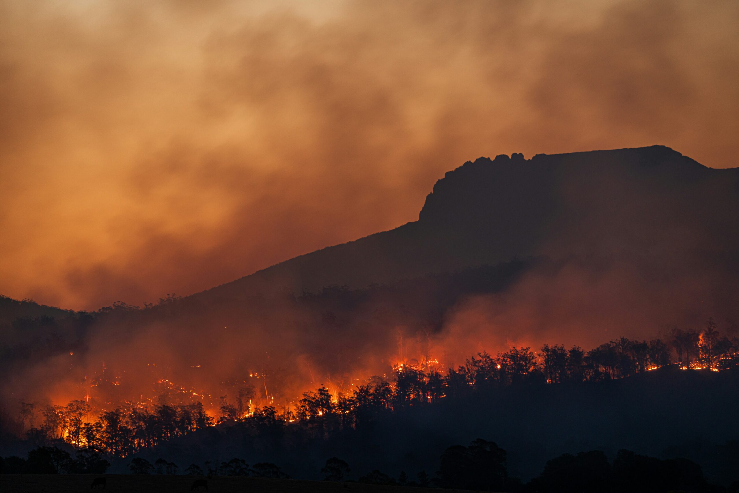 Highway 99 wildfire plans in place for Squamish-Pemberton area