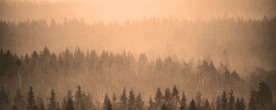 https://www.squamishreporter.com/wp-content/uploads/2026/08/wildfire-smoke-air-quality-600x240-1-540x216.png